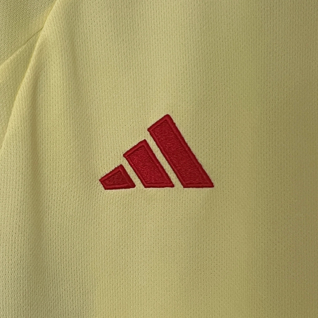 Camisa País de Gales Away 24/25 - Torcedor Masculina Lançamento