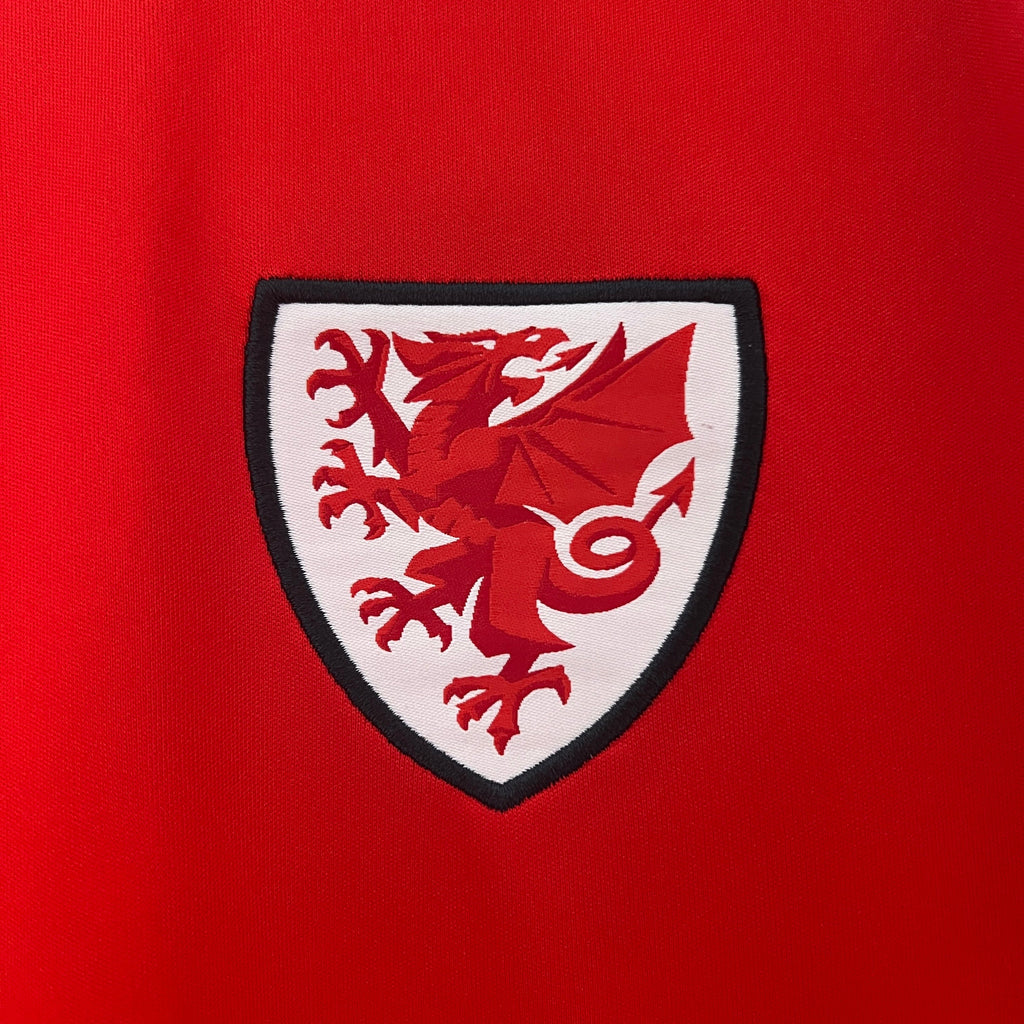 Camisa País de Gales Home 24/25 - Torcedor Masculina Lançamento