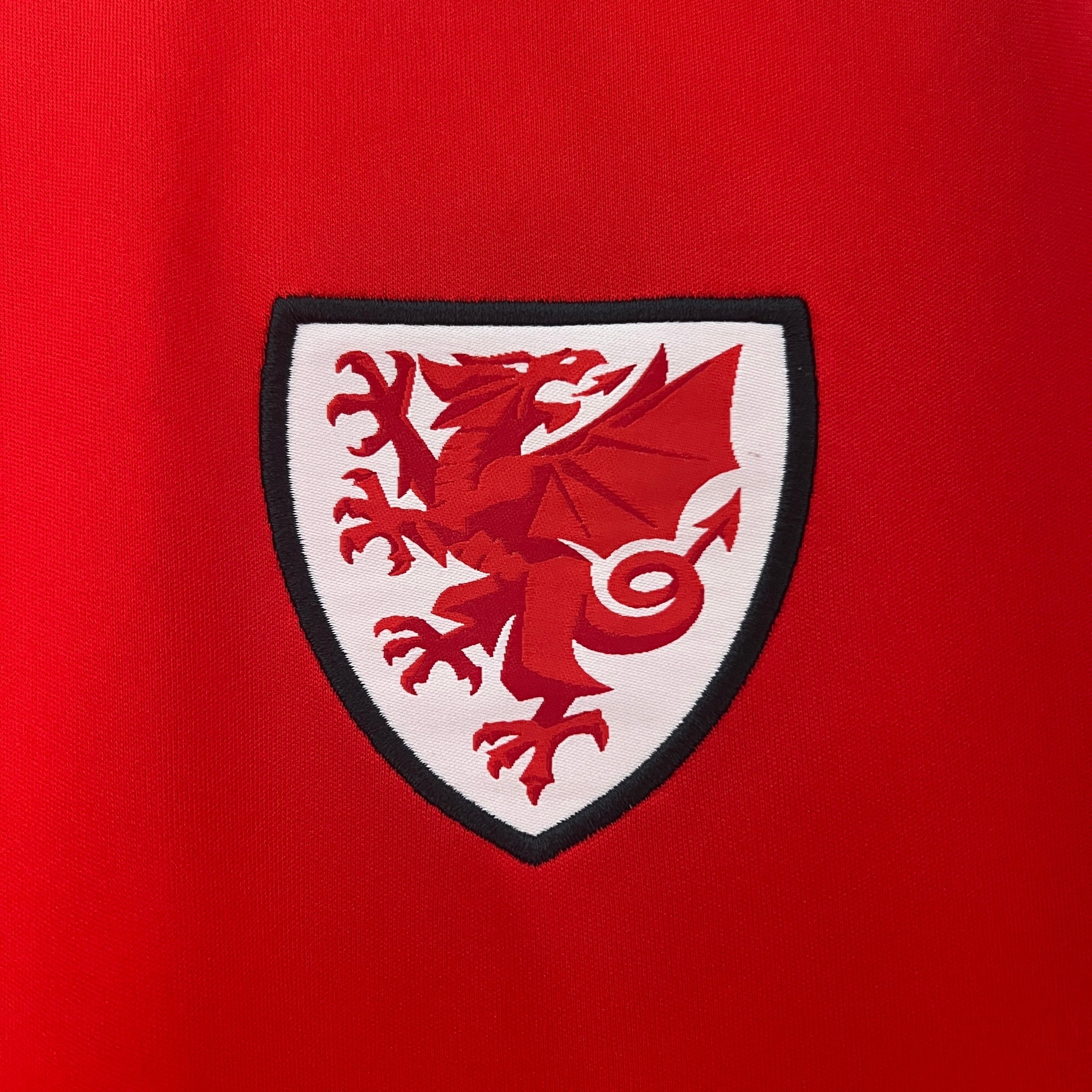 Camisa País de Gales Home 24/25 - Torcedor Masculina Lançamento