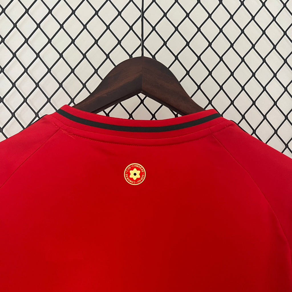 Camisa País de Gales Home 24/25 - Torcedor Masculina Lançamento