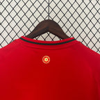 Camisa País de Gales Home 24/25 - Torcedor Masculina Lançamento