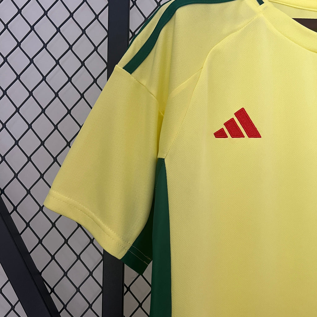 Camisa País de Gales Away 24/25 - Torcedor Masculina Lançamento