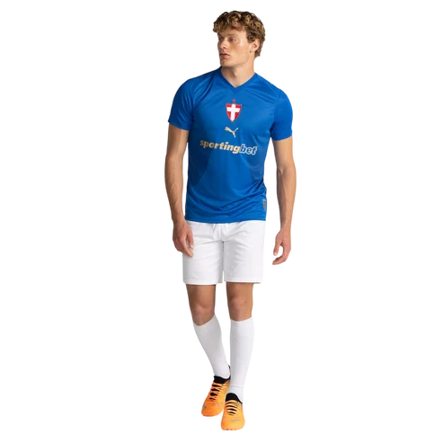 Camisa Palmeiras 2026/27 III Torcedor