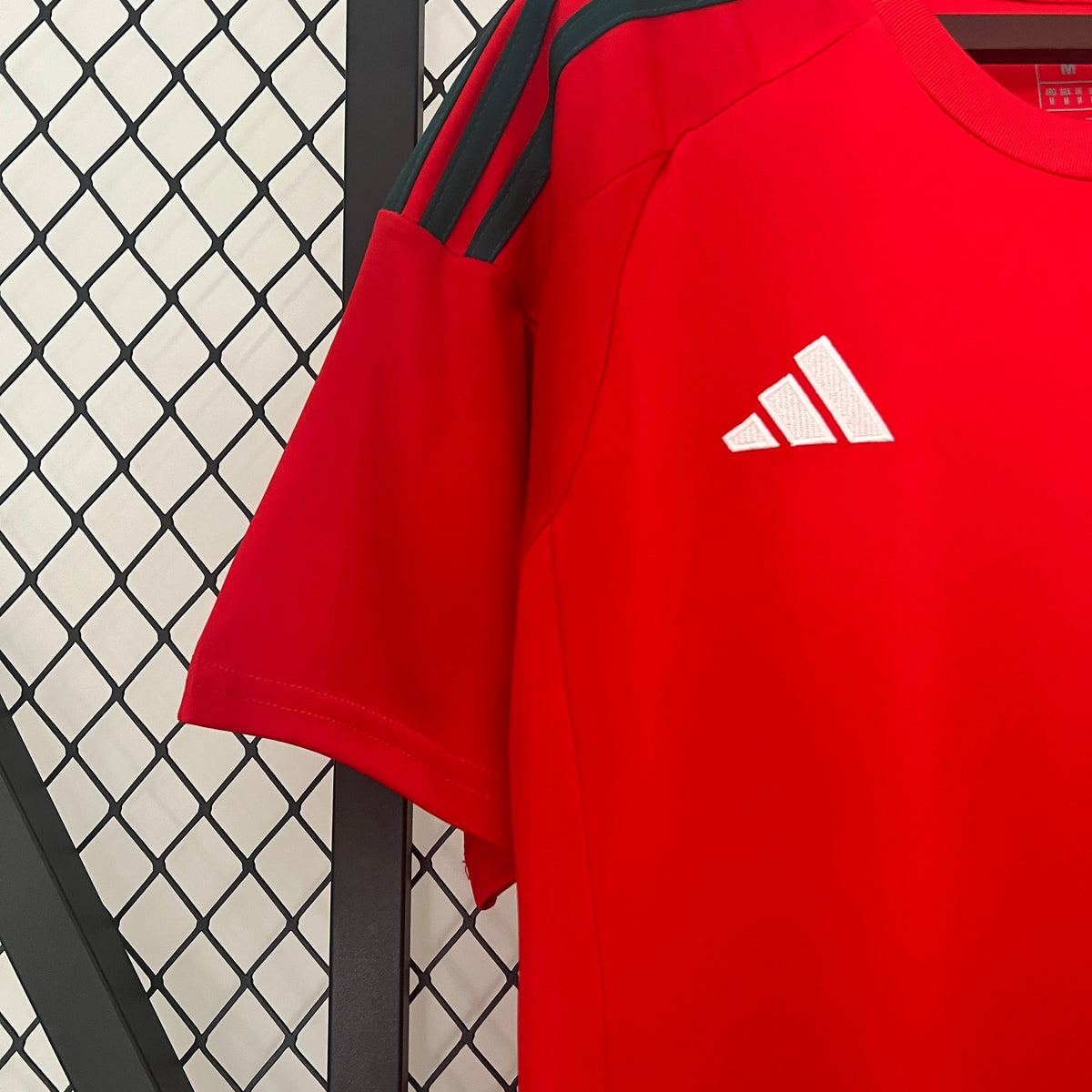 Camisa País de Gales Home 24/25 - Torcedor Masculina Lançamento
