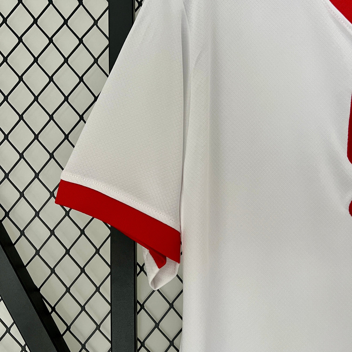 Camisa Polônia Home 24/25 - Torcedor Lançamento