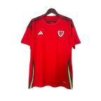 Camisa País de Gales Home 24/25 - Torcedor Masculina Lançamento