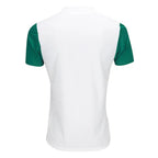 Camisa Palmeiras Away 25/26 - Torcedor Masculina