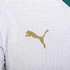 Camisa Palmeiras Reserva 24/25 - Torcedor Masculina Lançamento