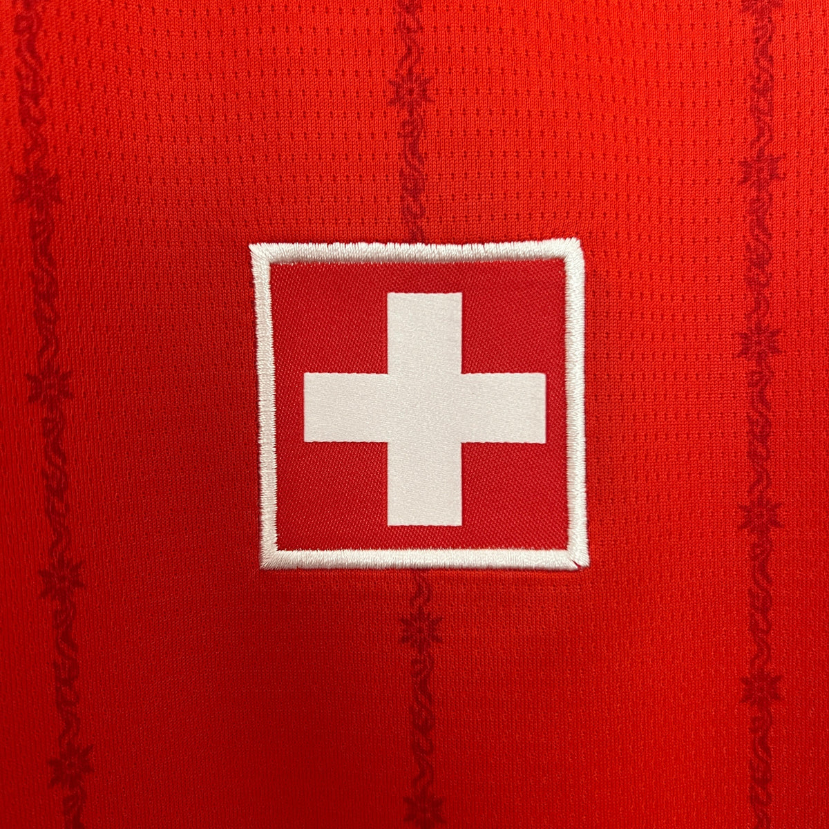 Camisa Suiça Home 24/25 - Torcedor Masculina Lançamento