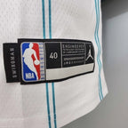 Camisa Regata Charlotte Hornets Branca e Azul - Jordan - Masculina