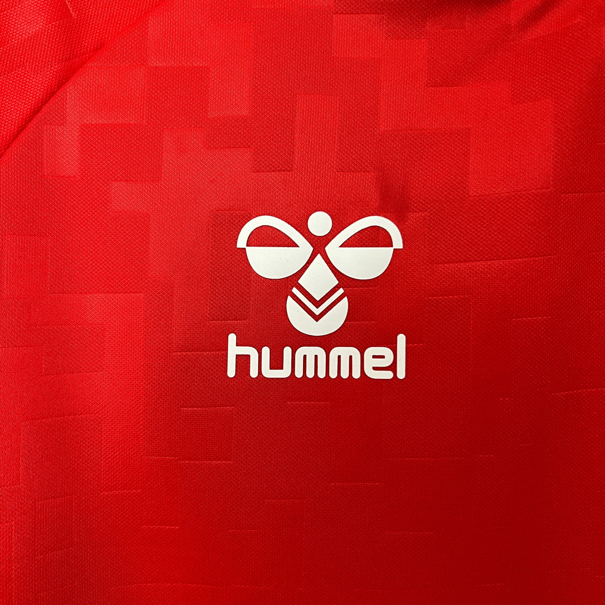 Camisa Dinamarca Home 24/25 - Torcedor Masculina Lançamento