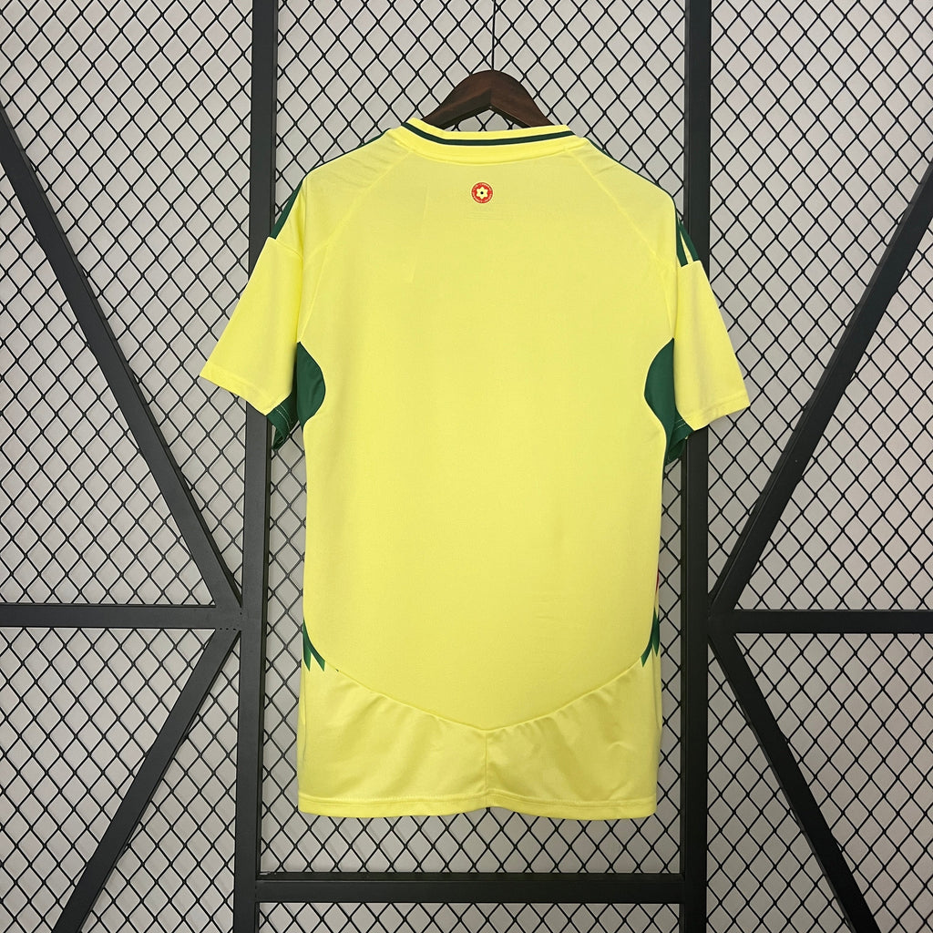 Camisa País de Gales Away 24/25 - Torcedor Masculina Lançamento