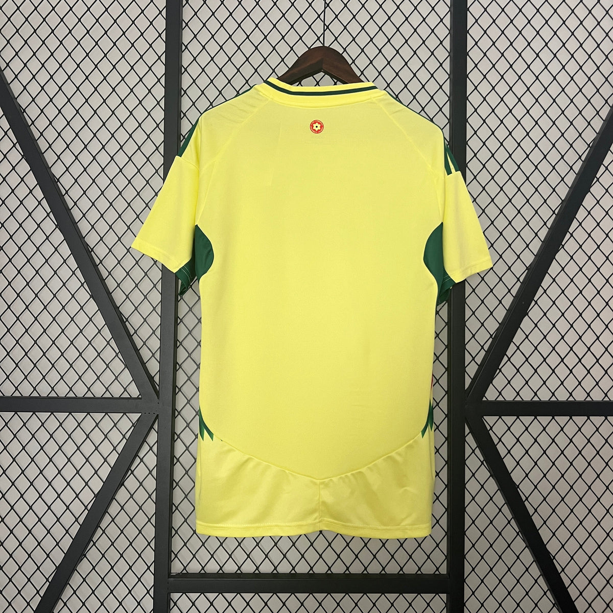 Camisa País de Gales Away 24/25 - Torcedor Masculina Lançamento