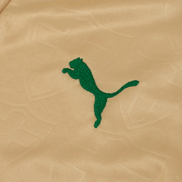 Camisa Palmeiras III 24/25 - Feminina