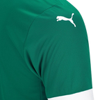 Camisa Palmeiras Home 25/26 - Torcedor Masculina