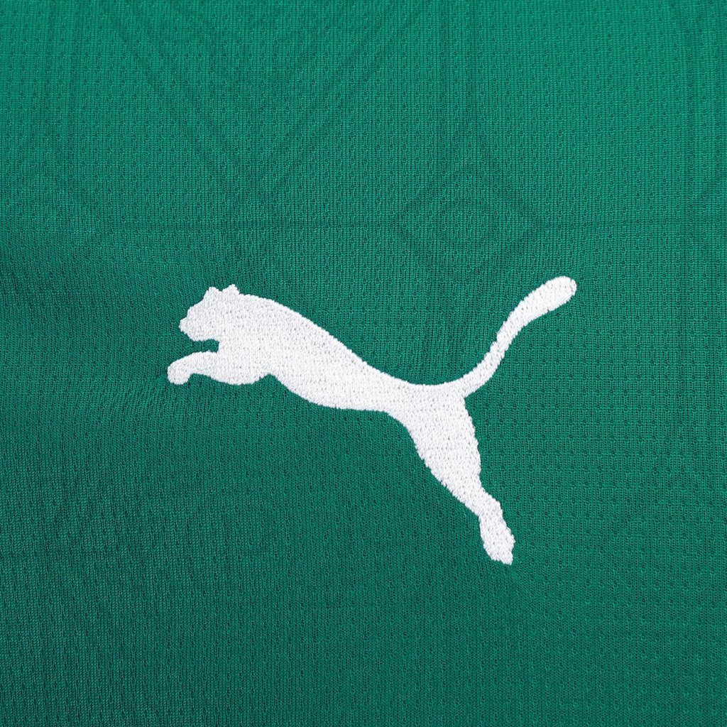 Camisa Palmeiras Home 25/26 - Torcedor Masculina