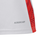 Camisa Internacional Treino Branca 25/26 - Torcedor Masculina