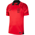 Camisa Coreia do Sul Home 22/23 - Torcedor Masculina
