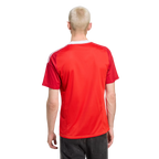 Camisa Flamengo Goleiro Reserva 25/26 - Versão Torcedor