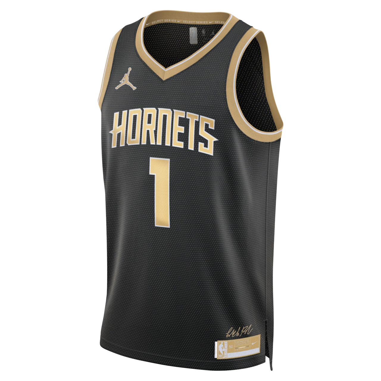 Camisa Regata NBA Charlotte Hornets 2024/25 Masculina